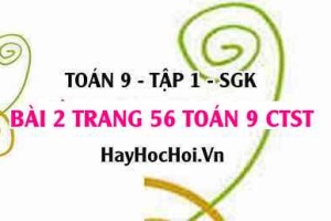Bài 2 trang 56 Toán 9 tập 1 Chân trời sáng tạo
